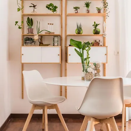 Line 8 House Apartman Róma